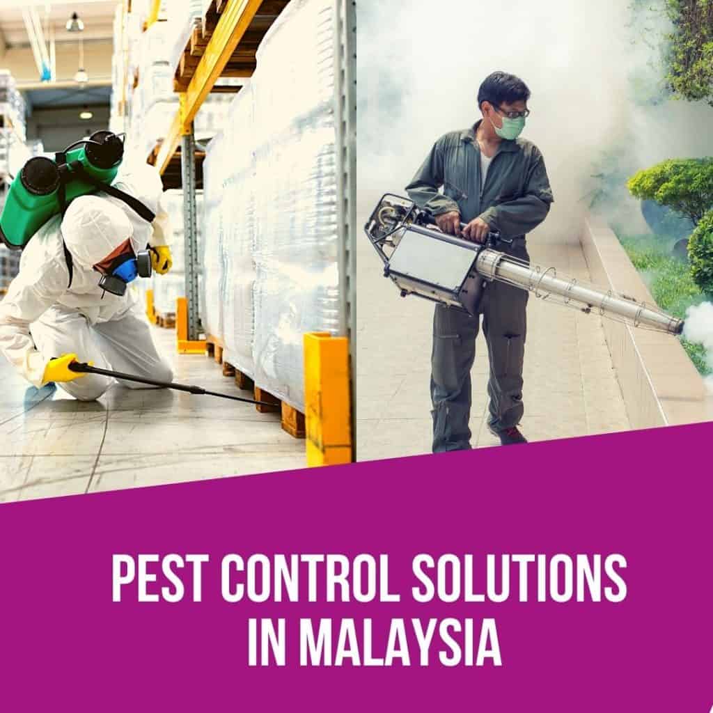 Pest Control Malaysia