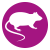 Rodent Icon